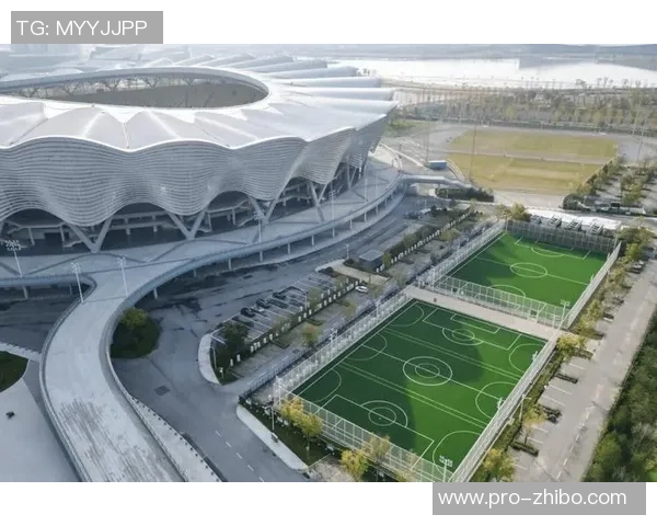 杭州足球场推荐及周边设施一览让你畅享足球乐趣